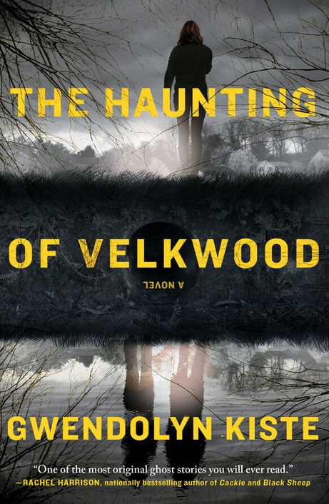 the haunting of velkwood cover